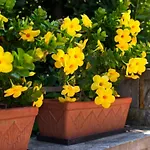 Gæstehus Sea View Opara 3*