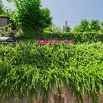 Sea View Opara Piran