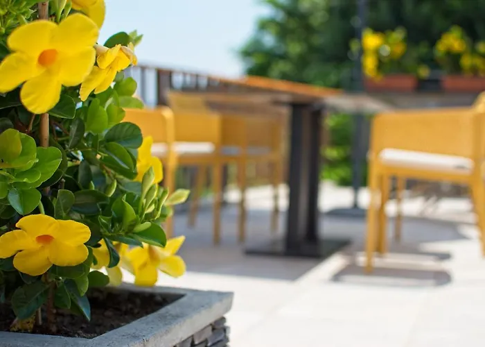 게스트하우스 Sea View Opara