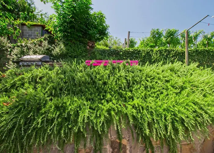 Sea View Opara Piran